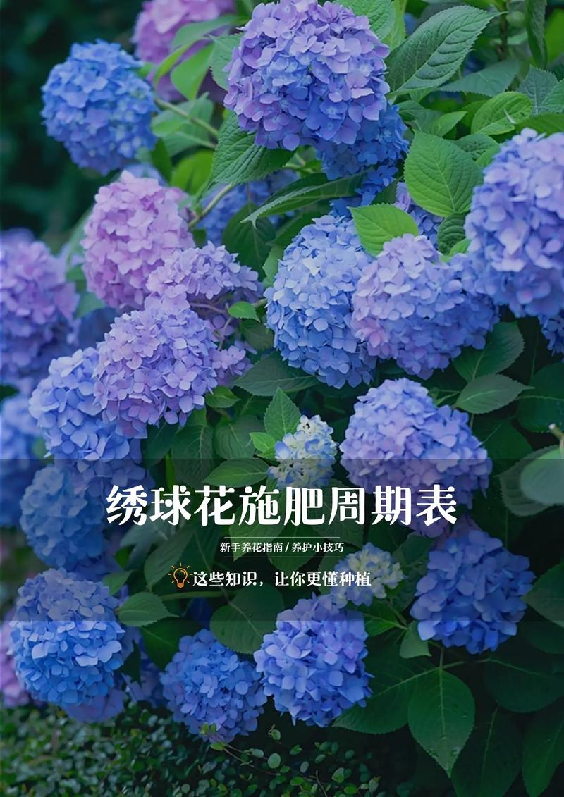 室内花卉多久施肥_草本15天一施，木本多施，多肉月施，看季节施肥！