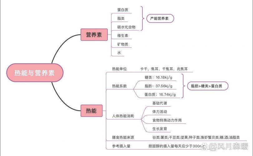 营养器官的生长思维导图_植物根茎叶生长与结构解析