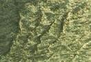 土壤水分蒸发_土壤蒸发分三阶段，数值模拟助节水