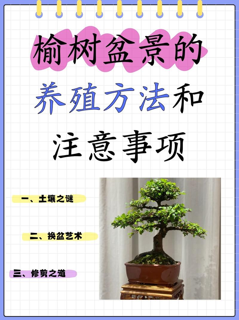 盆栽怎么施肥_盆栽施肥看状态，薄肥勤施促健康
