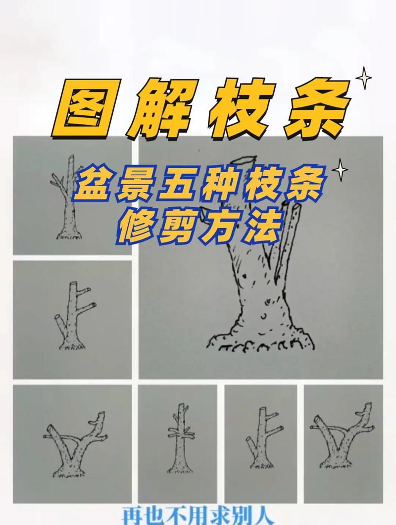 垂丝海棠盆景花后如何修剪_修剪施肥促花开
