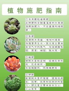 花卉施肥时间三忌_休眠期极端天气花期勿施，用腐熟肥远离根系