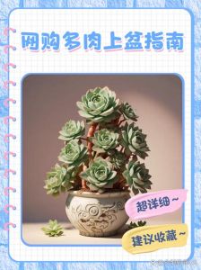 带盆买过来的多肉能不能不上盆_新手养多肉，先脱盆修根晾干再上盆！