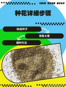 种不完的花卉种子怎么保存_花卉种子保存方法多样，干燥冷藏皆可