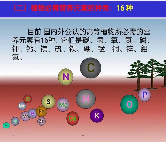 植物生长所需的营养元素有哪些_碳氢氧氮磷钾钙