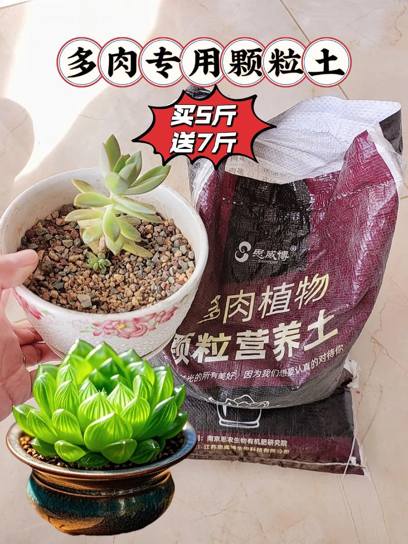 多肉用了专用的土还要施肥吗_多肉专用土，开袋即用，薄肥勤施