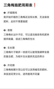 什么温度可以给花卉施肥_施肥看温度时机，生长期20天一次，巧配营养促生长