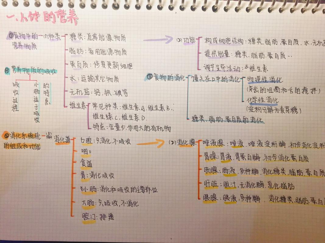 营养器官的生长思维导图_植物根茎叶生长与结构解析