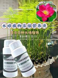 花的营养液放哪里_阴凉避光放，看时机施用