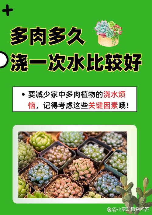 刚移栽的多肉能多久浇一次水_多肉浇水看季节，苗小土少勤浇，大盆生长季浇