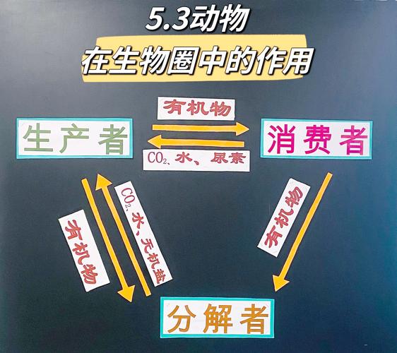 动物 植物 微生物之间的关系_生态能量信息循环与系统韧性启示