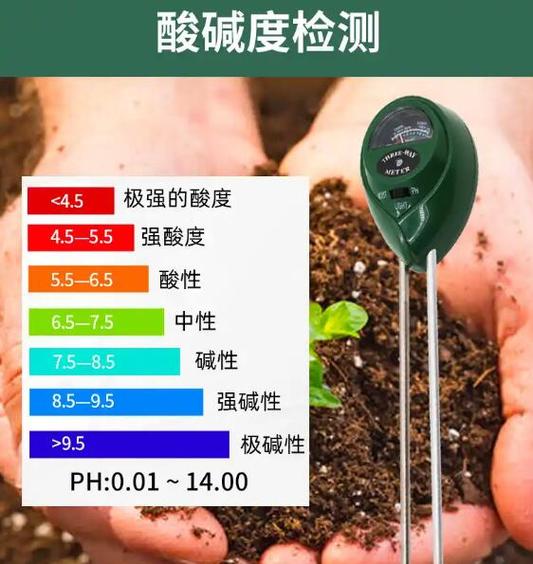 水溶性盐在酸性土壤中多不多_看总量更要看有害离子！