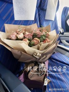 飞机上可以带花草吗_带花上飞机有讲究，国际国内规矩大不同！