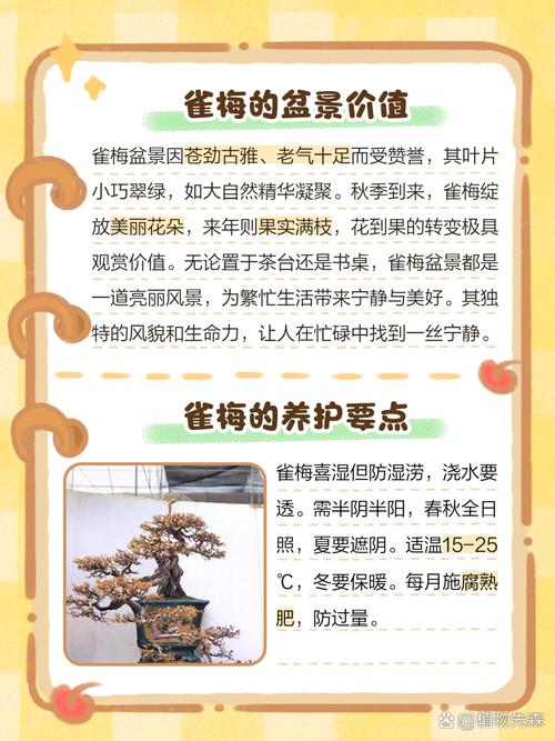 雀梅贵还是红芽雀梅贵_红芽雀梅盆景贵养护技巧