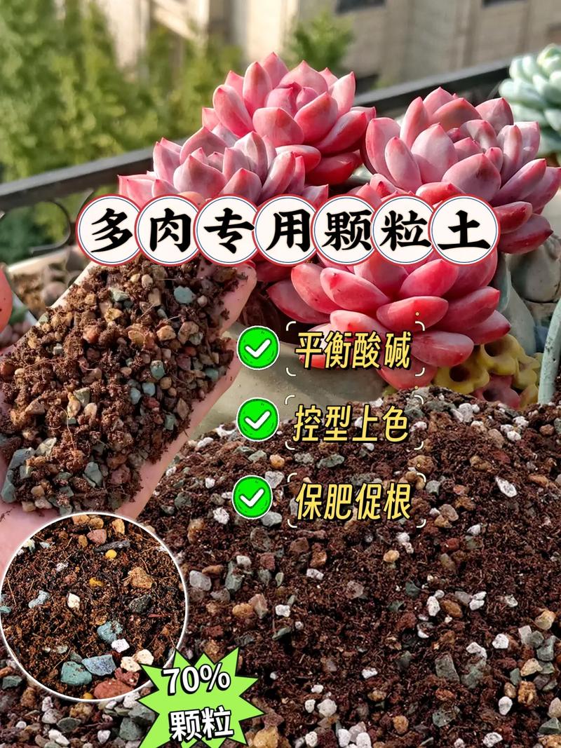 碎沙加腐殖土可以种多肉吗_颗粒沙土巧搭配，防烂根保健康
