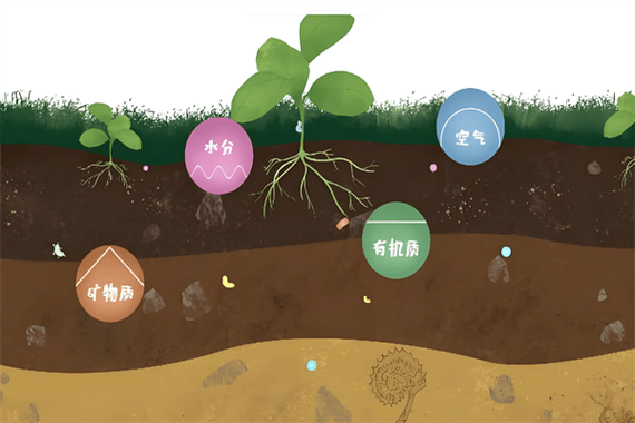 土壤养分迁移的主要方式_根系吸养有三种方式，科学施肥很重要