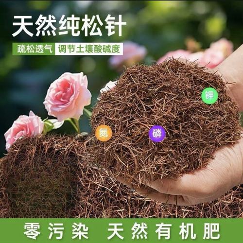 多肉能用松针土栽吗_松针土养兰好,透气保肥,多肉也爱,但要发酵消毒 多肉能用松针土栽吗_松针土养兰好,透气保肥,多肉也爱,但要发酵消毒