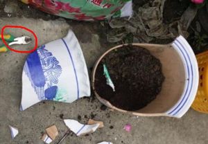 不小心把花盆打碎了_废品变宝，修复与担当的启示