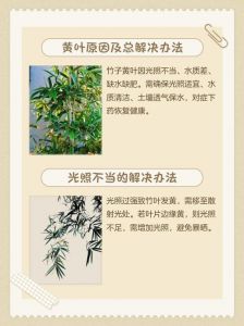 竹子黄叶变绿最快方法_竹叶发黄怎么办？原因及解决方法