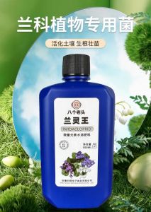 兰花施什么肥好_养好兰花要巧施肥，氮磷钾配比要适宜