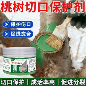 桃树修剪后的伤口用什么涂好_食用油防流胶，修剪消毒保健康