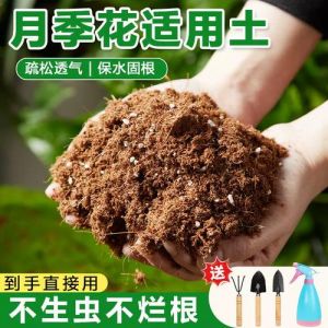 养花能不能只用营养土_营养土并非万能，科学配比更关键