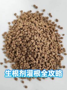 白糖白醋可作生根剂直接灌根吗_白糖白醋泡根小心用，生根剂更靠谱