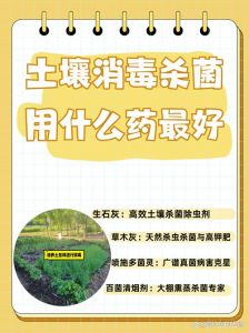 盆栽土用什么消毒_药剂有机高温法选哪种？