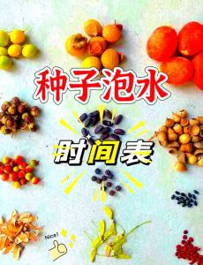 春天种子泡生根水一般多少时间_生根水泡种子别太久，2-4小时合适