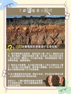 怎样有利于土壤的形成_土壤成分多样，健康靠保护！