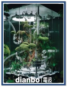 靠机械传播种子的植物_植物传种有妙招，弹射飘散靠动物