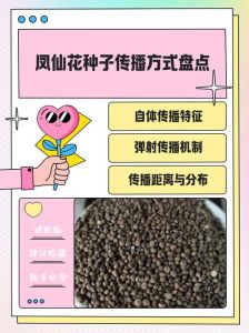 凤仙花怎么传播种子_凤仙花种子弹射传播，种好易活！