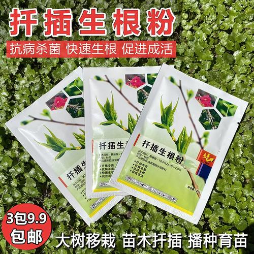 月季扦插需要用生根剂吗_自制生根剂效果好