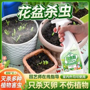 盆栽花生虫了怎么办_养花虫害不用愁，四招天然方法除虫