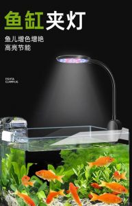 水草缸的灯晚上需要开吗_时长与强度的秘密