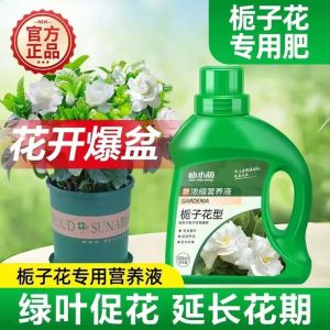 栀子花花期施什么肥_栀子花喜酸肥，腐叶土配，发酵淘米水促花